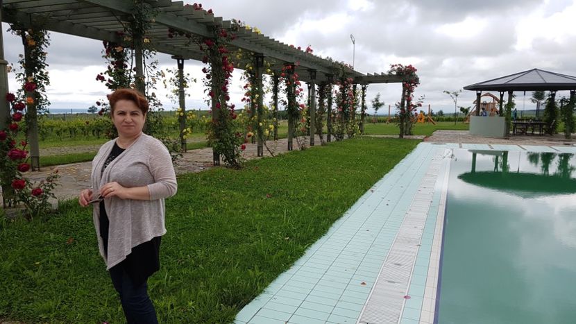  - 2017 TEL VLAD PODGORIA AVINCIA SI CASA ROMANEASCA