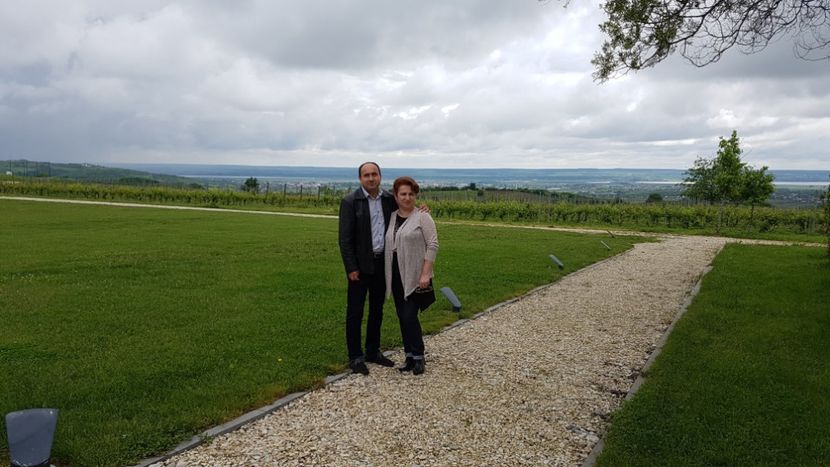  - 2017 TEL VLAD PODGORIA AVINCIA SI CASA ROMANEASCA