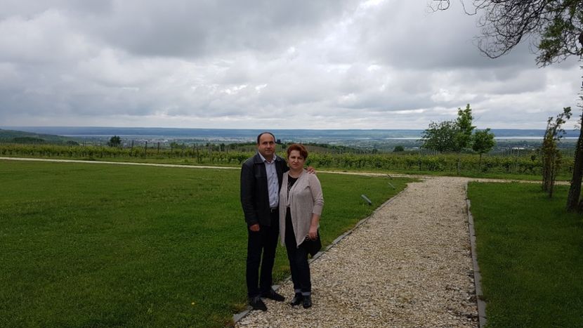  - 2017 TEL VLAD PODGORIA AVINCIA SI CASA ROMANEASCA