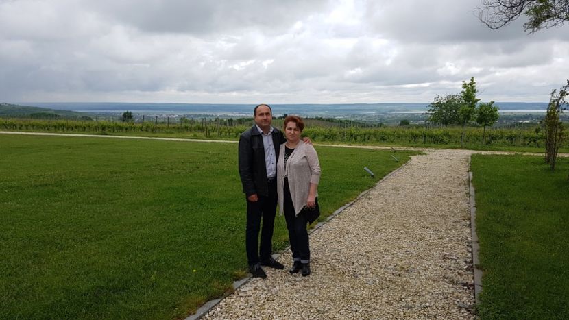  - 2017 TEL VLAD PODGORIA AVINCIA SI CASA ROMANEASCA