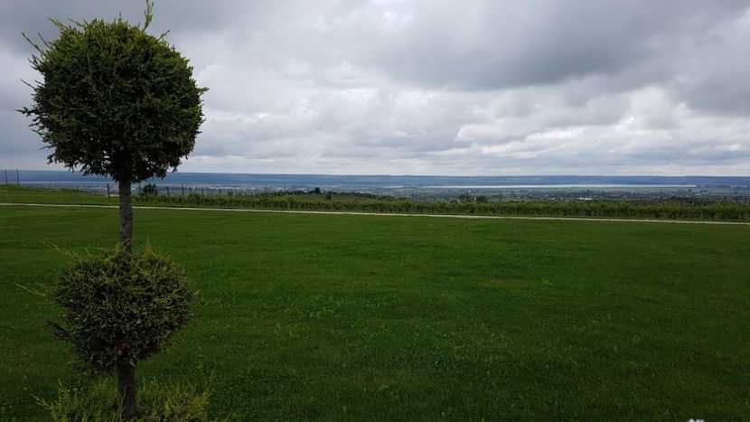  - 2017 TEL VLAD PODGORIA AVINCIA SI CASA ROMANEASCA