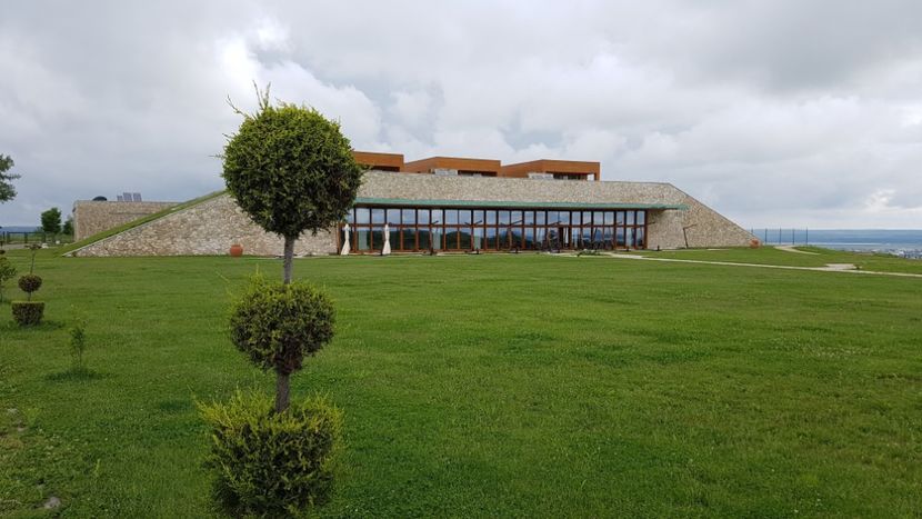  - 2017 TEL VLAD PODGORIA AVINCIA SI CASA ROMANEASCA