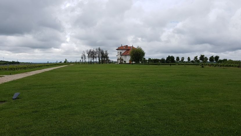  - 2017 TEL VLAD PODGORIA AVINCIA SI CASA ROMANEASCA