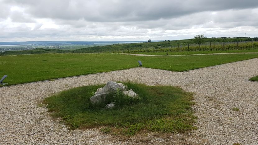  - 2017 TEL VLAD PODGORIA AVINCIA SI CASA ROMANEASCA