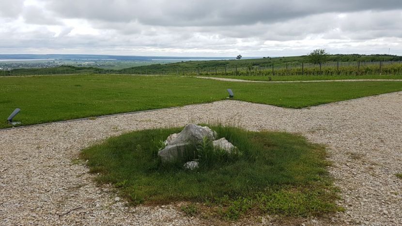  - 2017 TEL VLAD PODGORIA AVINCIA SI CASA ROMANEASCA