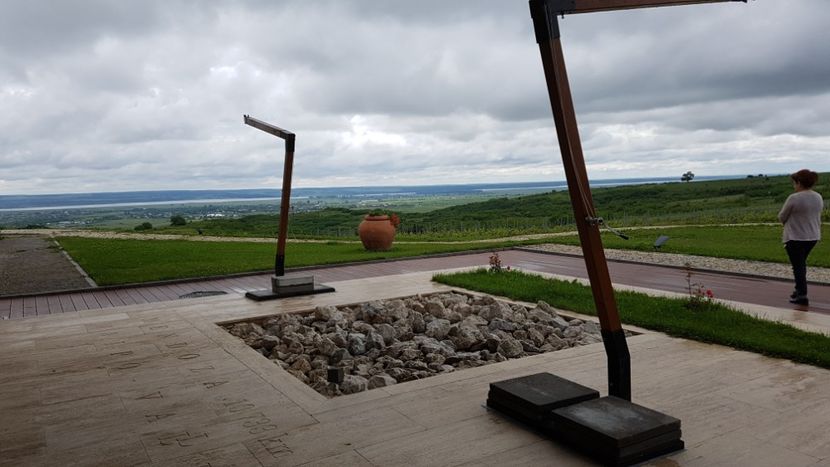  - 2017 TEL VLAD PODGORIA AVINCIA SI CASA ROMANEASCA