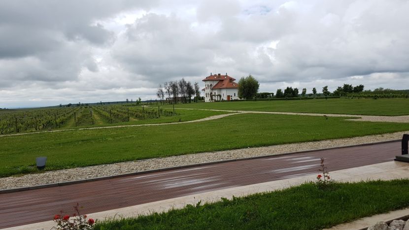  - 2017 TEL VLAD PODGORIA AVINCIA SI CASA ROMANEASCA