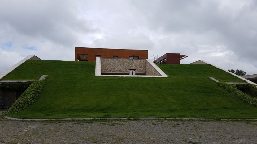  - 2017 TEL VLAD PODGORIA AVINCIA SI CASA ROMANEASCA