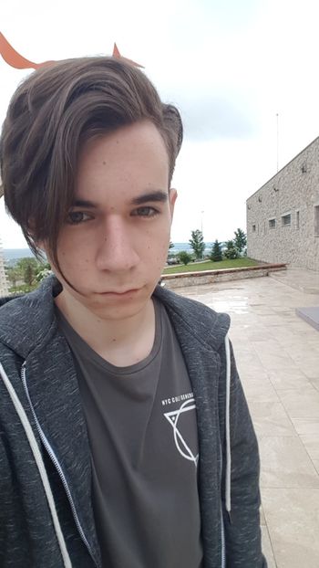  - 2017 TEL VLAD PODGORIA AVINCIA SI CASA ROMANEASCA