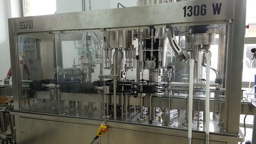  - 2017 TEL VLAD PODGORIA AVINCIA SI CASA ROMANEASCA