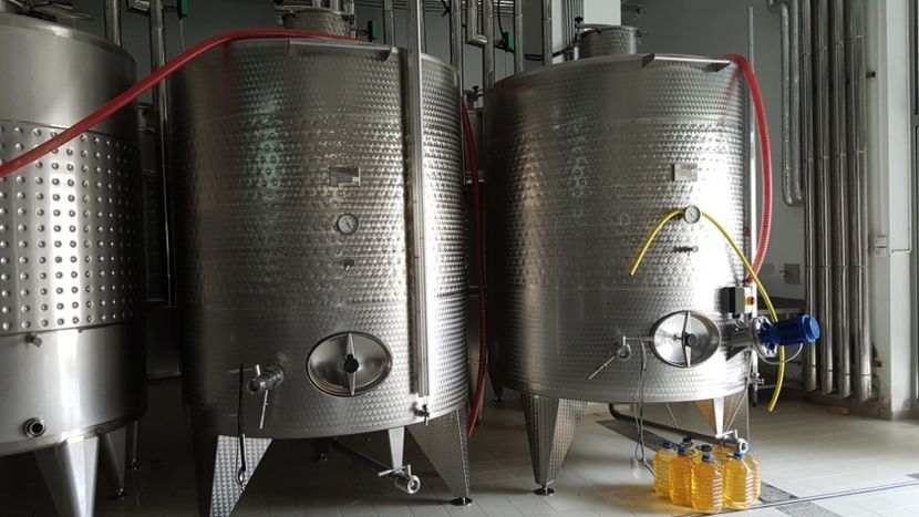  - 2017 TEL VLAD PODGORIA AVINCIA SI CASA ROMANEASCA