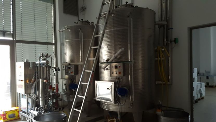  - 2017 TEL VLAD PODGORIA AVINCIA SI CASA ROMANEASCA