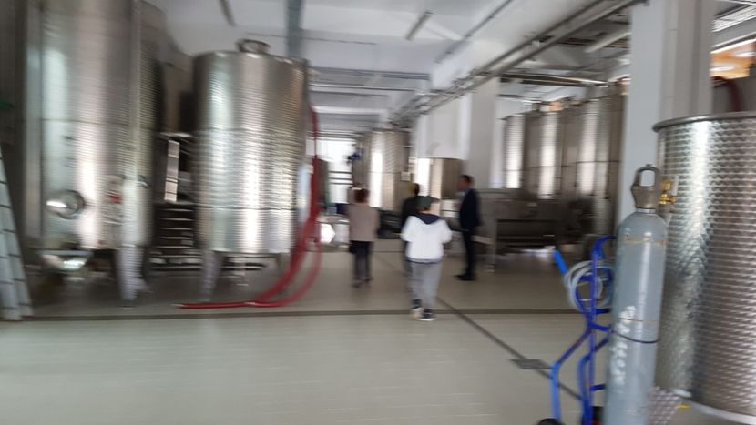  - 2017 TEL VLAD PODGORIA AVINCIA SI CASA ROMANEASCA