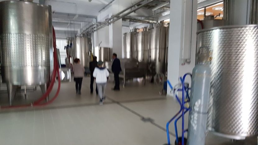  - 2017 TEL VLAD PODGORIA AVINCIA SI CASA ROMANEASCA