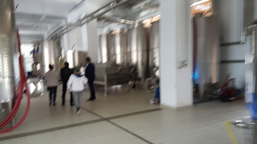  - 2017 TEL VLAD PODGORIA AVINCIA SI CASA ROMANEASCA