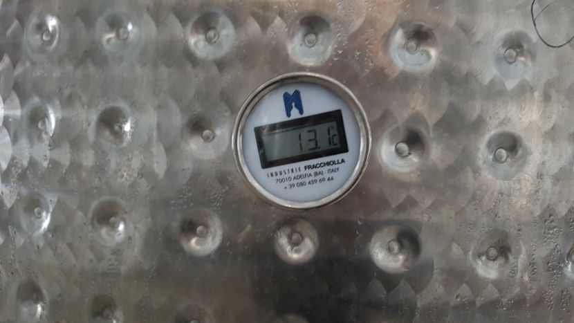  - 2017 TEL VLAD PODGORIA AVINCIA SI CASA ROMANEASCA