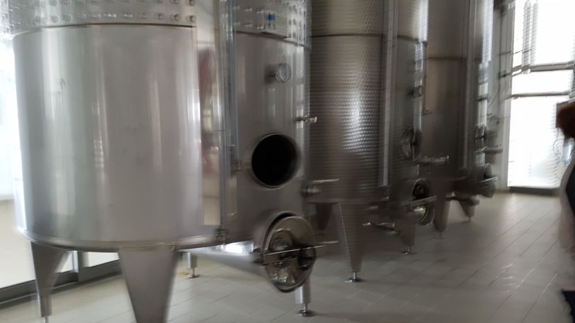  - 2017 TEL VLAD PODGORIA AVINCIA SI CASA ROMANEASCA