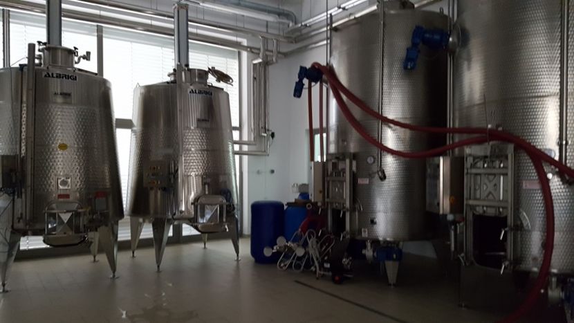  - 2017 TEL VLAD PODGORIA AVINCIA SI CASA ROMANEASCA