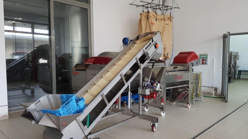  - 2017 TEL VLAD PODGORIA AVINCIA SI CASA ROMANEASCA