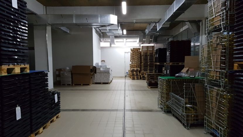  - 2017 TEL VLAD PODGORIA AVINCIA SI CASA ROMANEASCA