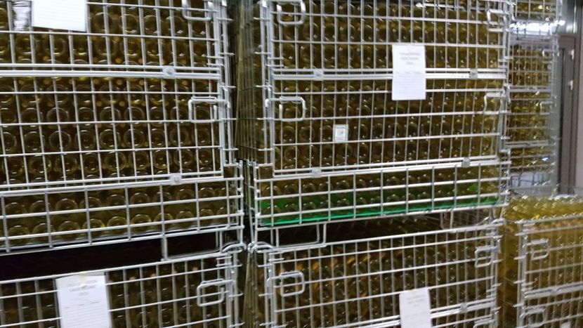  - 2017 TEL VLAD PODGORIA AVINCIA SI CASA ROMANEASCA