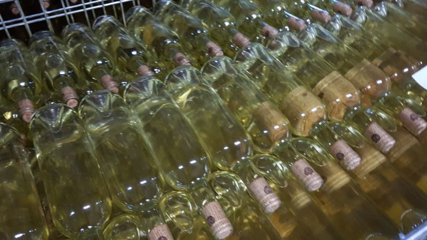  - 2017 TEL VLAD PODGORIA AVINCIA SI CASA ROMANEASCA