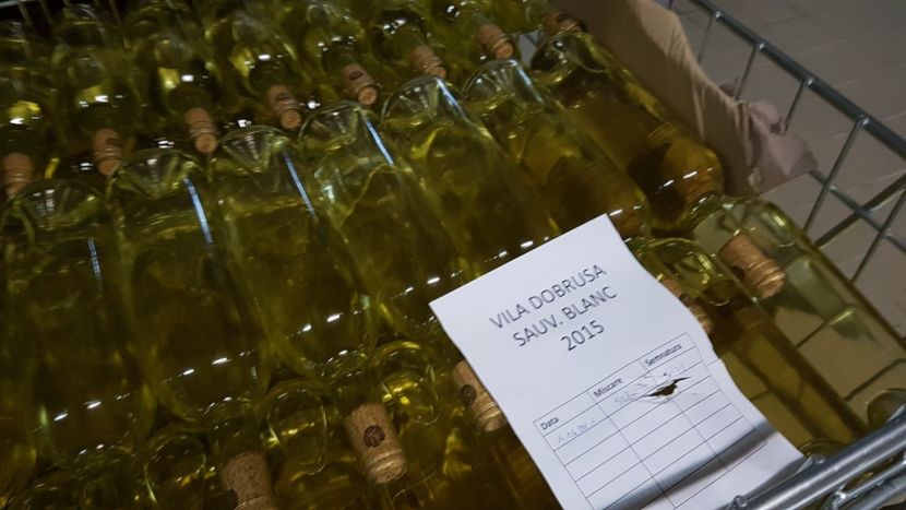  - 2017 TEL VLAD PODGORIA AVINCIA SI CASA ROMANEASCA