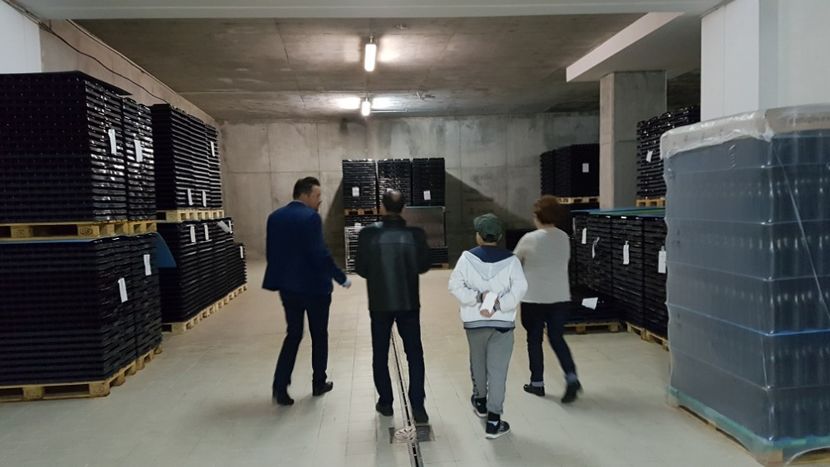  - 2017 TEL VLAD PODGORIA AVINCIA SI CASA ROMANEASCA