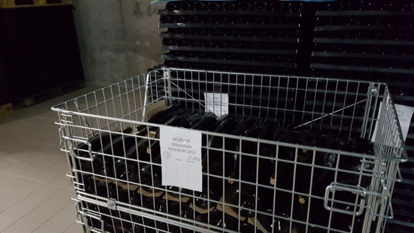  - 2017 TEL VLAD PODGORIA AVINCIA SI CASA ROMANEASCA