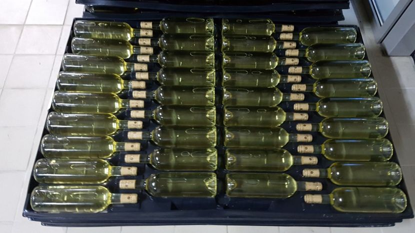  - 2017 TEL VLAD PODGORIA AVINCIA SI CASA ROMANEASCA