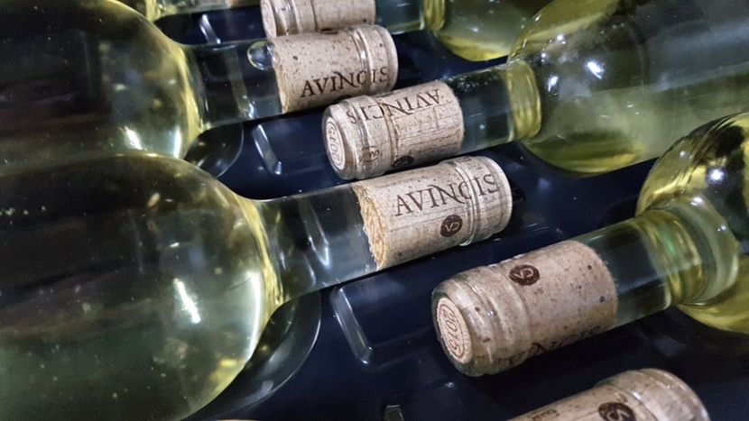  - 2017 TEL VLAD PODGORIA AVINCIA SI CASA ROMANEASCA