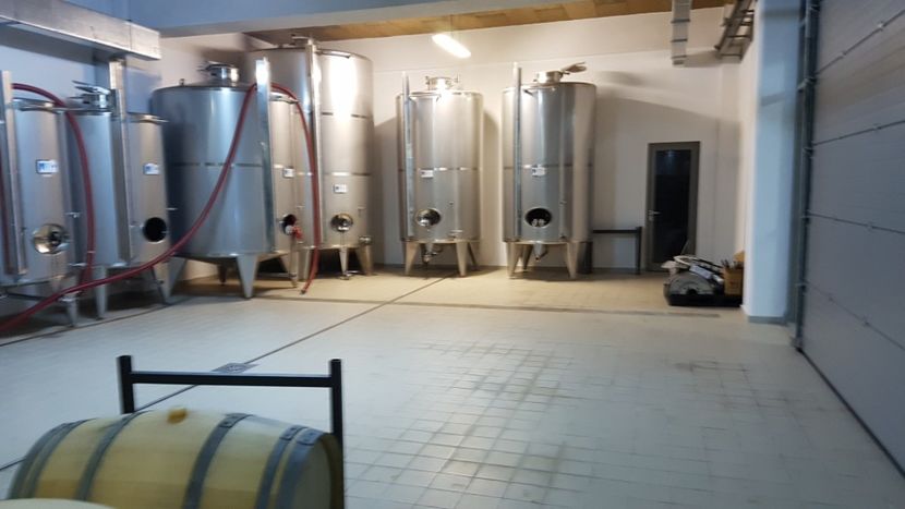  - 2017 TEL VLAD PODGORIA AVINCIA SI CASA ROMANEASCA