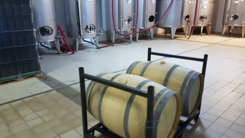  - 2017 TEL VLAD PODGORIA AVINCIA SI CASA ROMANEASCA