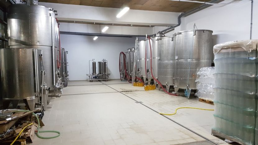  - 2017 TEL VLAD PODGORIA AVINCIA SI CASA ROMANEASCA