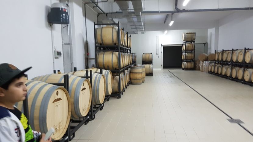  - 2017 TEL VLAD PODGORIA AVINCIA SI CASA ROMANEASCA