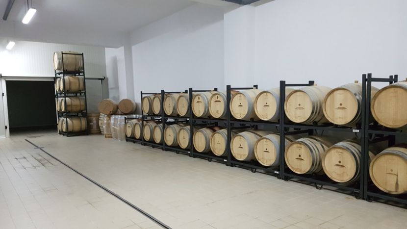  - 2017 TEL VLAD PODGORIA AVINCIA SI CASA ROMANEASCA