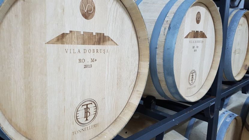  - 2017 TEL VLAD PODGORIA AVINCIA SI CASA ROMANEASCA