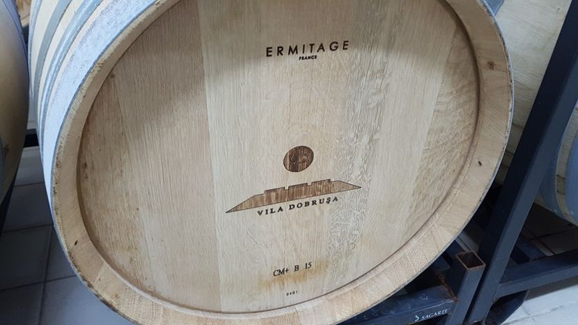  - 2017 TEL VLAD PODGORIA AVINCIA SI CASA ROMANEASCA