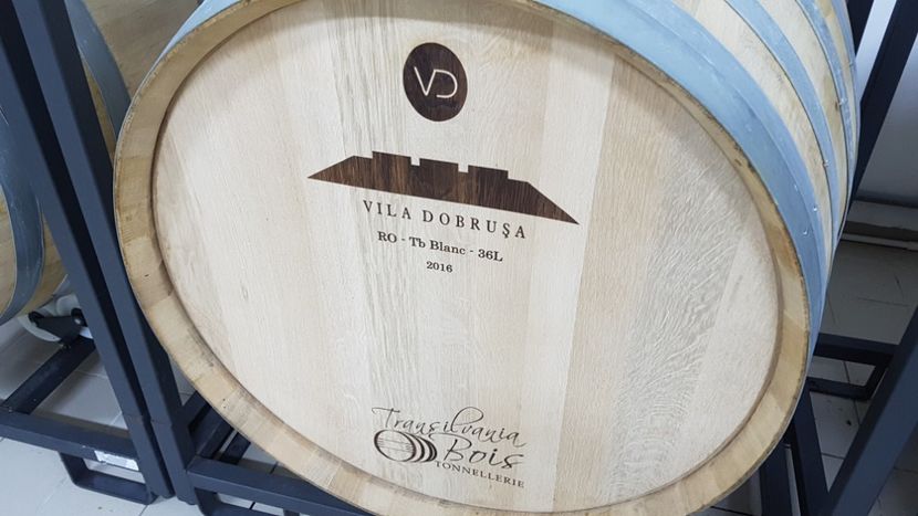  - 2017 TEL VLAD PODGORIA AVINCIA SI CASA ROMANEASCA