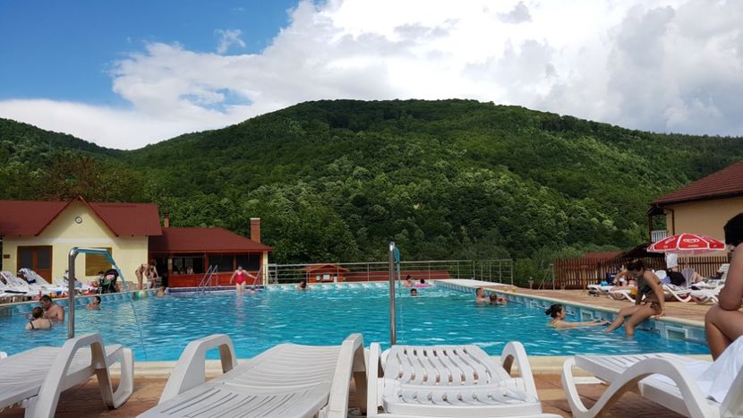  - 2017 TEL VLAD PODGORIA AVINCIA SI CASA ROMANEASCA