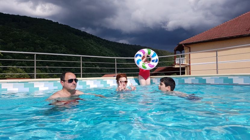  - 2017 TEL VLAD PODGORIA AVINCIA SI CASA ROMANEASCA