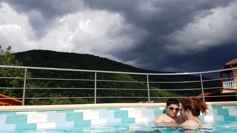  - 2017 TEL VLAD PODGORIA AVINCIA SI CASA ROMANEASCA