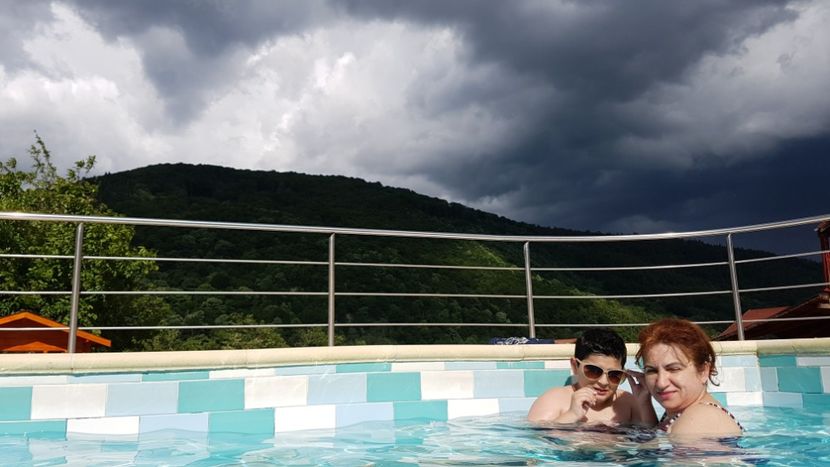  - 2017 TEL VLAD PODGORIA AVINCIA SI CASA ROMANEASCA