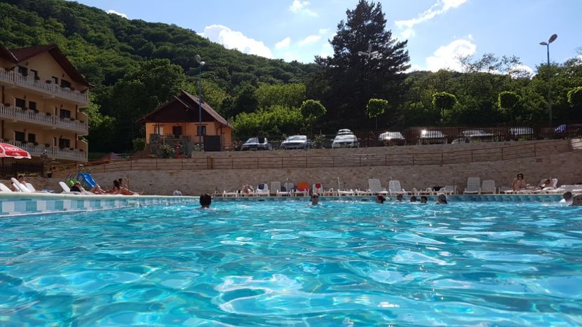  - 2017 TEL VLAD PODGORIA AVINCIA SI CASA ROMANEASCA