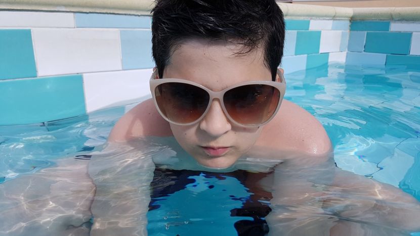  - 2017 TEL VLAD PODGORIA AVINCIA SI CASA ROMANEASCA