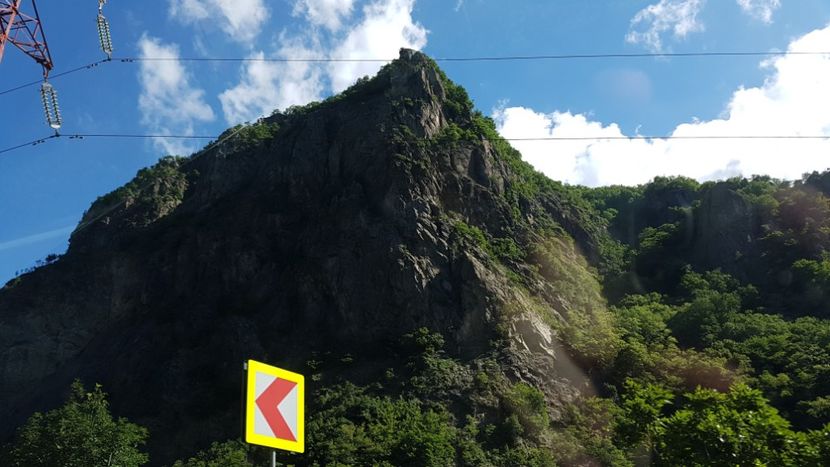 20170528_095406(0) - 2017 TEL VLAD PODGORIA AVINCIA SI CASA ROMANEASCA