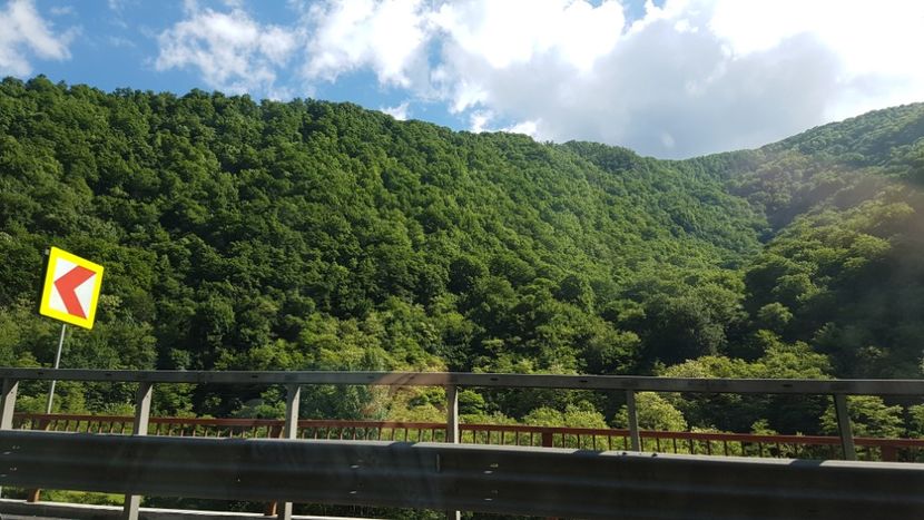  - 2017 TEL VLAD PODGORIA AVINCIA SI CASA ROMANEASCA