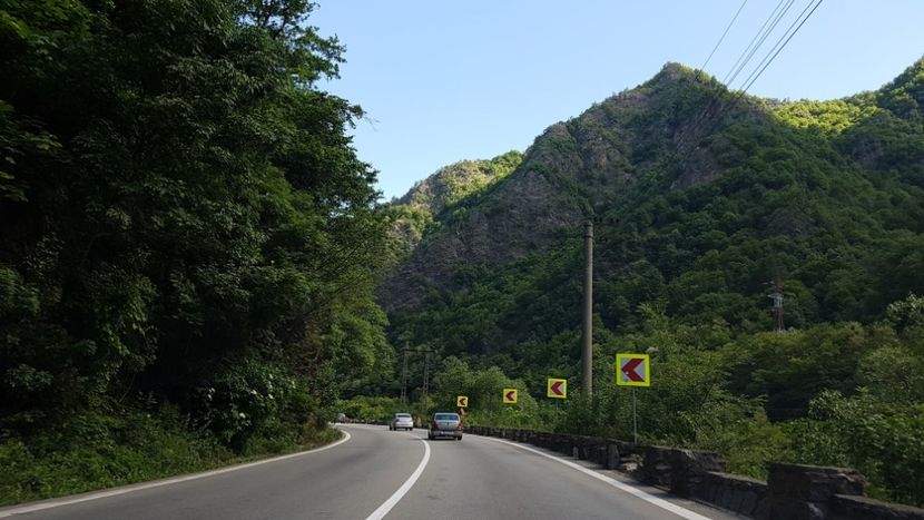  - 2017 TEL VLAD PODGORIA AVINCIA SI CASA ROMANEASCA