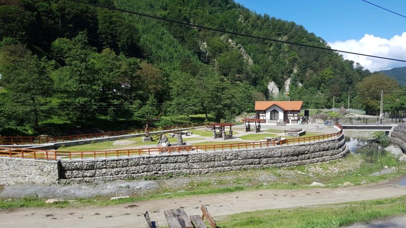  - 2017 TEL VLAD PODGORIA AVINCIA SI CASA ROMANEASCA