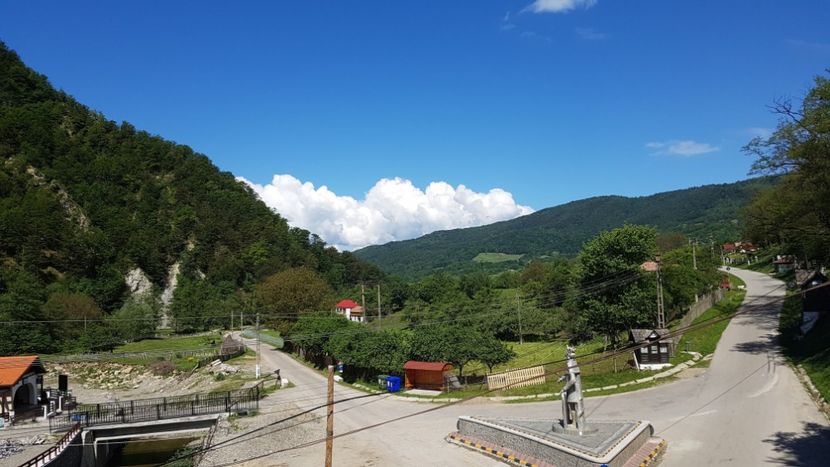  - 2017 TEL VLAD PODGORIA AVINCIA SI CASA ROMANEASCA